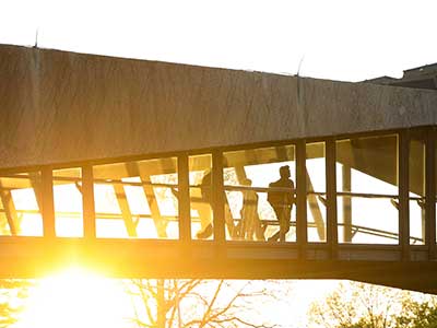 Hofstra Unispan